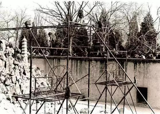 新中国发展的瞬间视频,中国新发展震撼视频