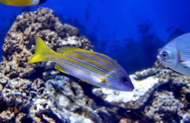 上海一日游必去的4个景点,上海必游的十大免费景点推荐一下