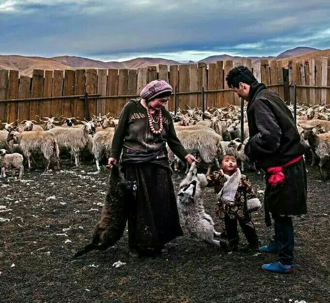 给摄影爱好者的十二条摄影经验,看完这组摄影作品你还淡定吗