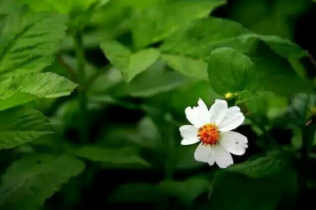 给摄影爱好者的十二条摄影经验,看完这组摄影作品你还淡定吗