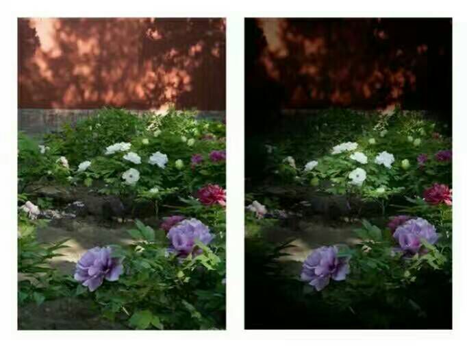 给摄影爱好者的十二条摄影经验,看完这组摄影作品你还淡定吗