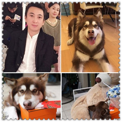 这炫富方式绝了！唐嫣LV包、权志龙天价项链都被王思聪的狗怼了