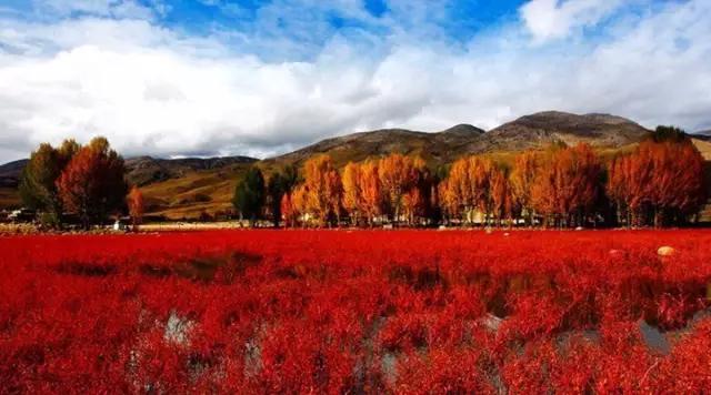 春节从成都出发6天自驾路线,春节三门峡到成都自驾攻略