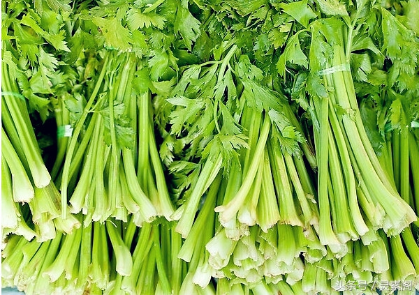 解酒药能在喝酒前喝吗,解酒药在喝酒的过程中可以吃吗