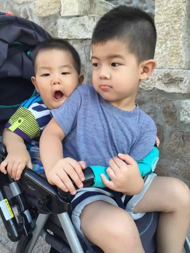 小海绵小星星,小星星小海豚林心如