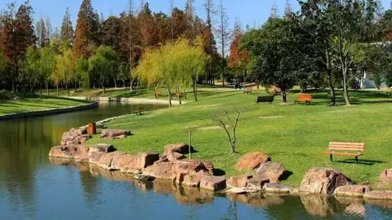 过年上海周边旅游最值得去的地方,上海假期周边旅游攻略大全