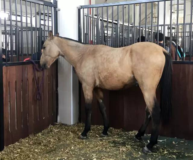 “好房子101个细节”2016中国卖得最好的100个楼盘秘密