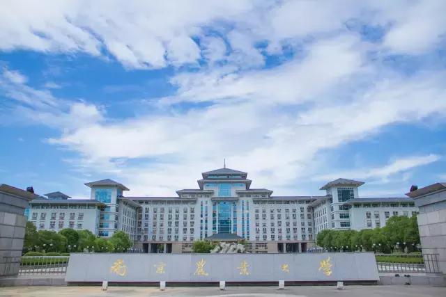 金陵十三校齐贺新春，请您查收一份来自南大的新春祝福