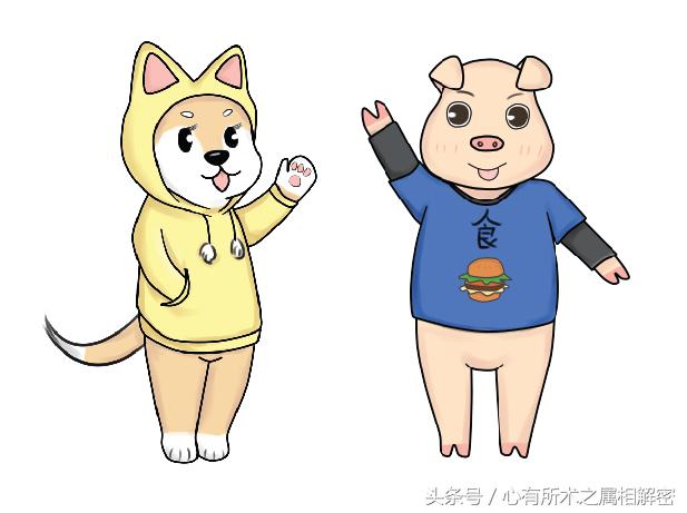 数字与生肖五行的关系,五行与生肖怎么搭配讲解