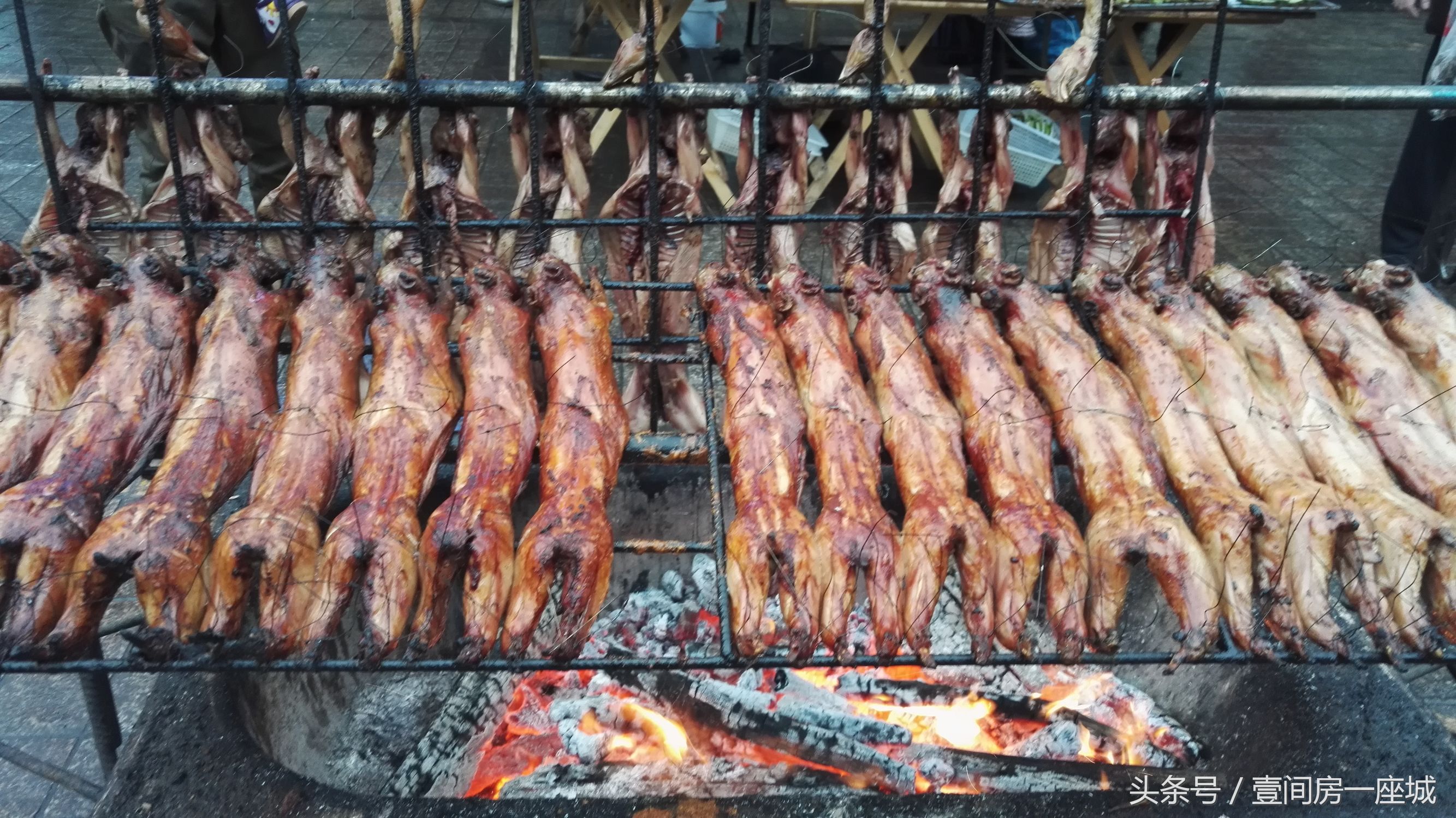 大邑花水湾温泉酒店地址在哪里,大邑花水湾温泉度假村价格多少