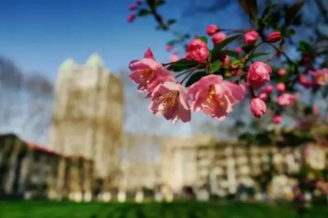 金陵十三校齐贺新春，请您查收一份来自南大的新春祝福