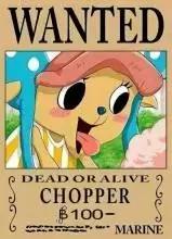 海贼王里的冷知识路飞不吃什么,关于海贼王的100冷知识