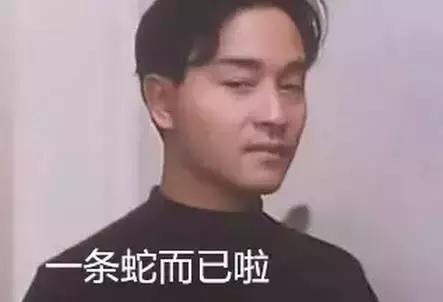 新西兰蛇和蝎子,新西兰发现蛇