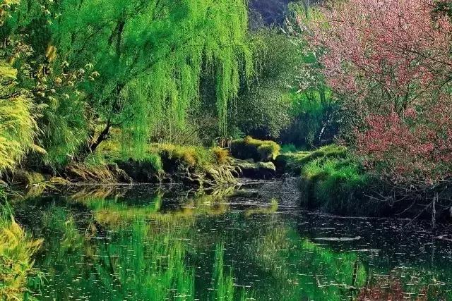 贵州黄果树旅游攻略,昆明至黄果树旅游攻略