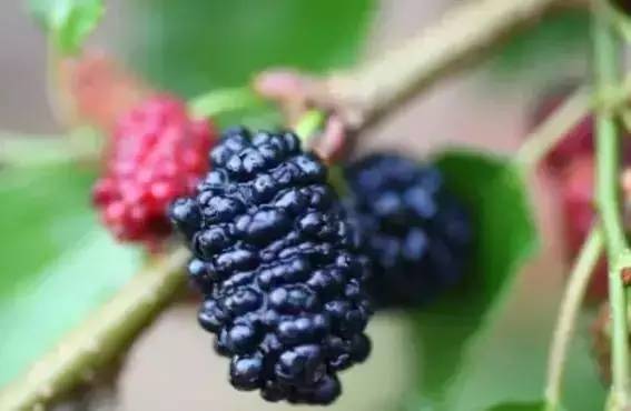 青岛最值得去的十大景点地图,青岛最值得看的景点