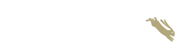 「乐在囧途」赏腊梅、逛庙会、看灯光展，这个春节带着家人去鄢陵吧！