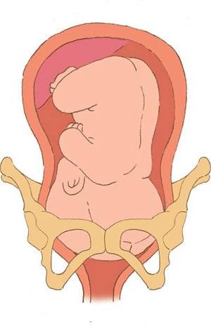 「科普」剖腹产的女明星那么多，为啥瘦小的“教主夫人”（杨颖）却能顺产？