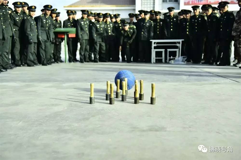 新春走军营战友情,新春走军营完整版