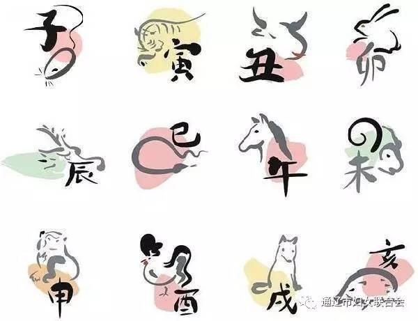 十二生肖幼儿知识,十二生肖数学知识