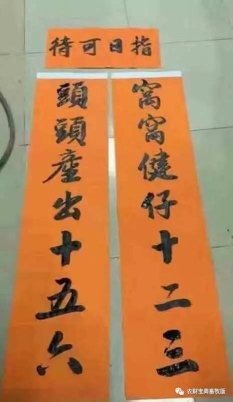 养猪专业户春联,猪场专用春联大全