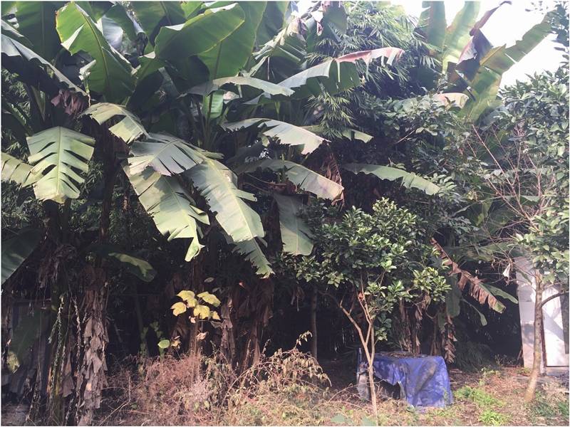 4个月9000元，三个90后把城里的破败院落，徒手改导致家理想的模样