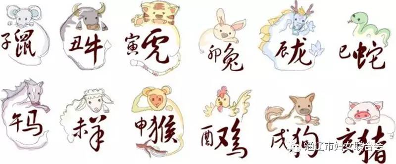 十二生肖幼儿知识,十二生肖数学知识