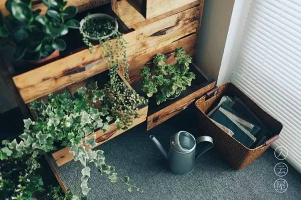 无底线提升千元出租屋品味，看90后美少年怎样活出无数人向往的样子……