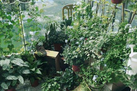 无底线提升千元出租屋品味，看90后美少年怎样活出无数人向往的样子……