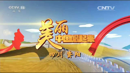 美丽资阳央视报道,美丽舞台央视