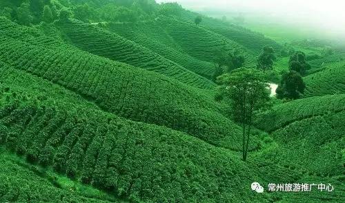 常州田园风景,常州最美乡村旅游景点