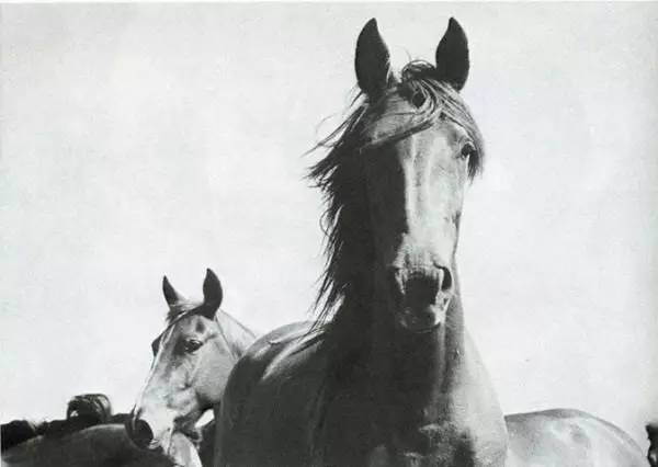 新年干货｜这样的摄影构图才应该学