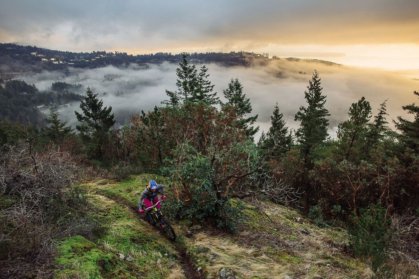 目前市场上都有哪些牌子的山地车,现在最划算的最新款山地车