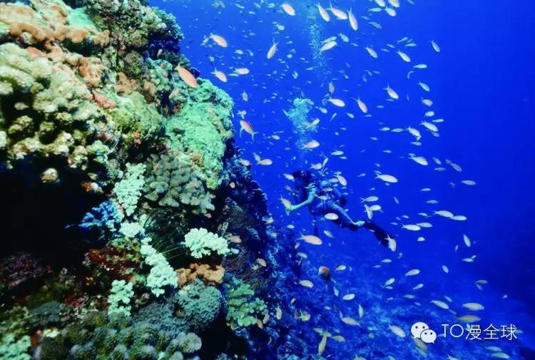 东南亚顶级海岛游,去东南亚旅游哪个海岛比较合适