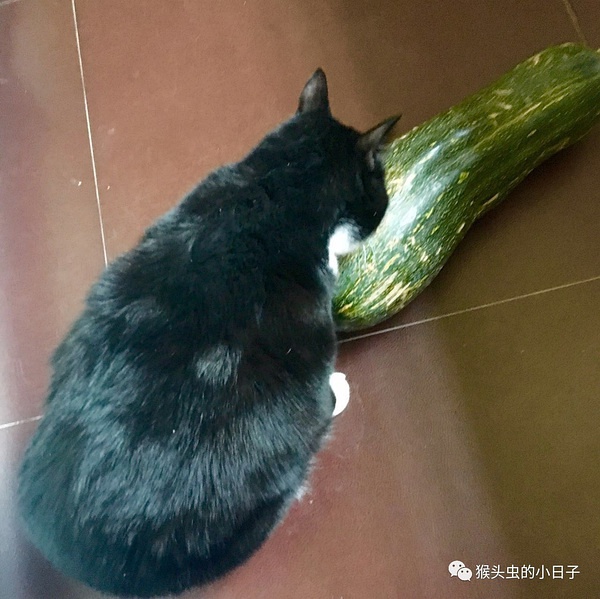 豆瓣日记:南瓜汤－－出门买菜的正能量