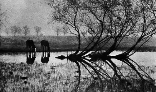 新年干货｜这样的摄影构图才应该学