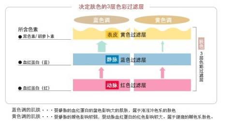 新年彩妆买好了,新年新开始化妆品