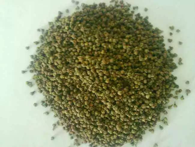 两大食疗方法治疗口腔溃疡,治疗口腔溃疡的九款饮食药膳