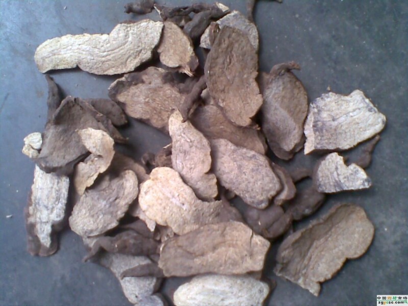 两大食疗方法治疗口腔溃疡,治疗口腔溃疡的九款饮食药膳