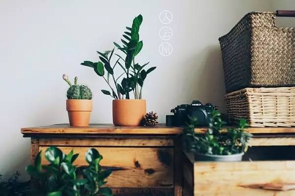 无底线提升千元出租屋品味，看90后美少年怎样活出无数人向往的样子……