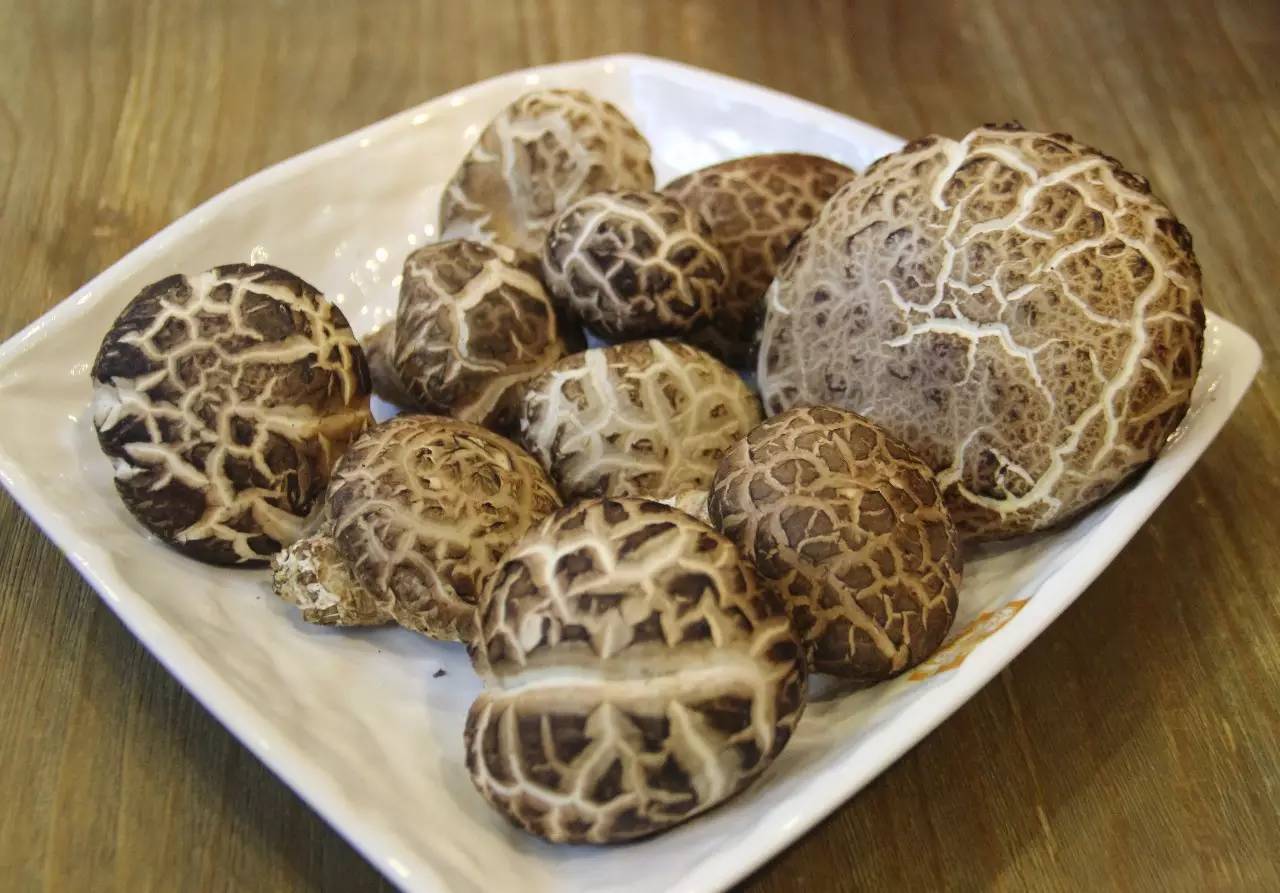 风味美食靓汤系列福建佛跳墙,顶级闽菜佛跳墙