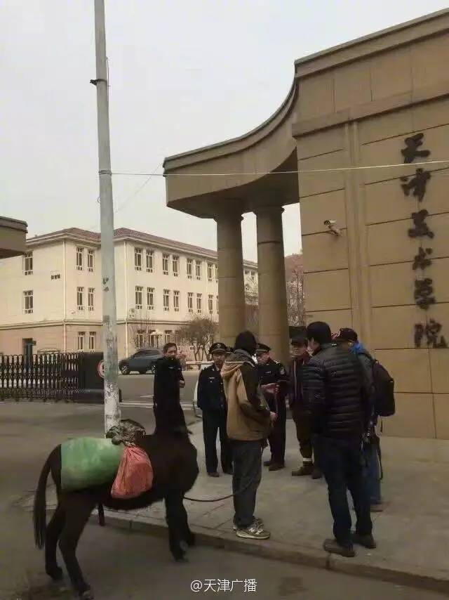 阅天下｜这28种板蓝根千万别碰！会致过敏、腹泻、脑损伤