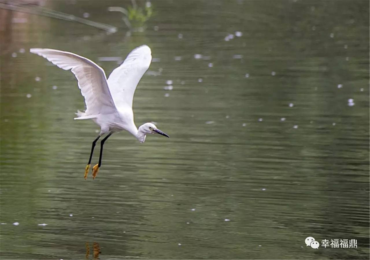 「玩转乡镇」别样山前，让我想想你原来的样子……