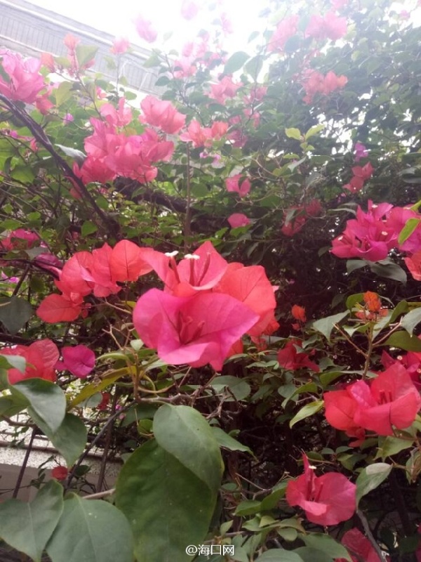 老城旧貌换新颜,老城区旧貌新颜