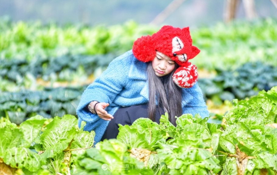 云耕生活记你耕田来我织布