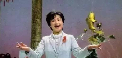 哪一年的春晚最值得看,关注2019春晚