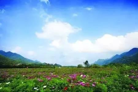 重庆綦江为什么过去叫南州,重庆市綦江以前叫什么县