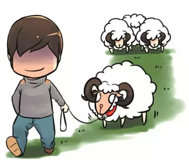 最全的集五福攻略赶紧get,曝光了2019年集五福最全攻略