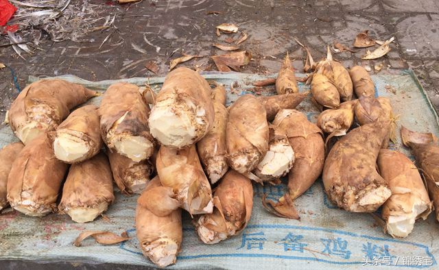 在北方不容易买到的时令蔬菜,这些特点蔬菜你见过吗