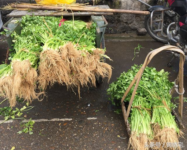 在北方不容易买到的时令蔬菜,这些特点蔬菜你见过吗