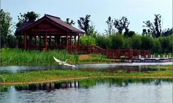 过年上海周边旅游最值得去的地方,上海假期周边旅游攻略大全